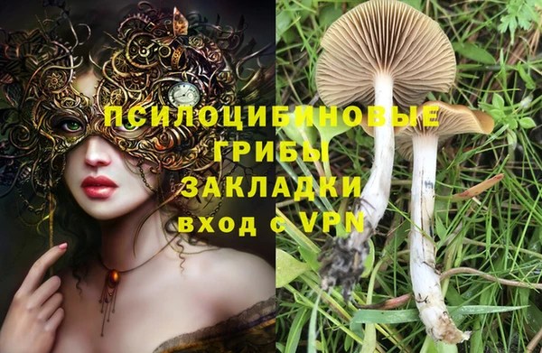 прущая мука Осинники